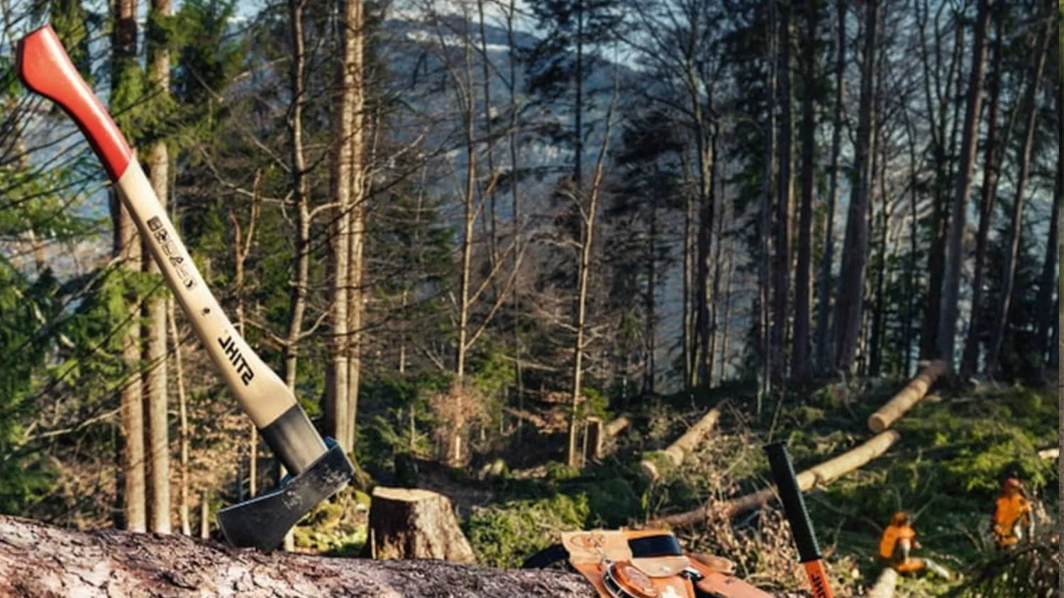 Брадви / чукове / инструменти за работа в гората