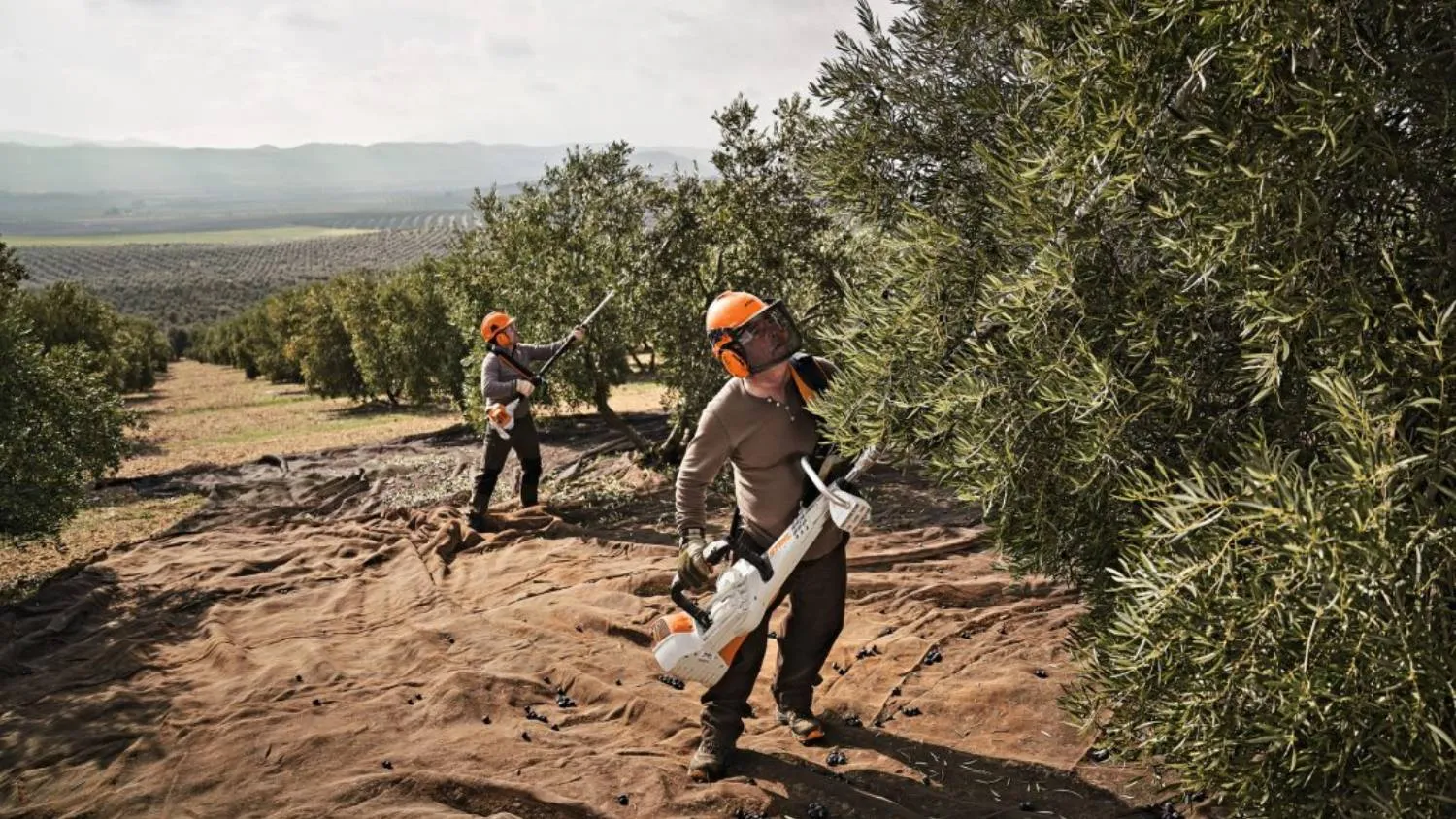 Уреди за бране на плодове