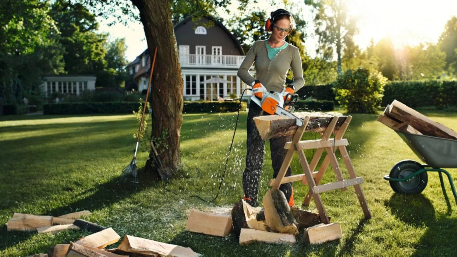 Моторни триони / верижни триони